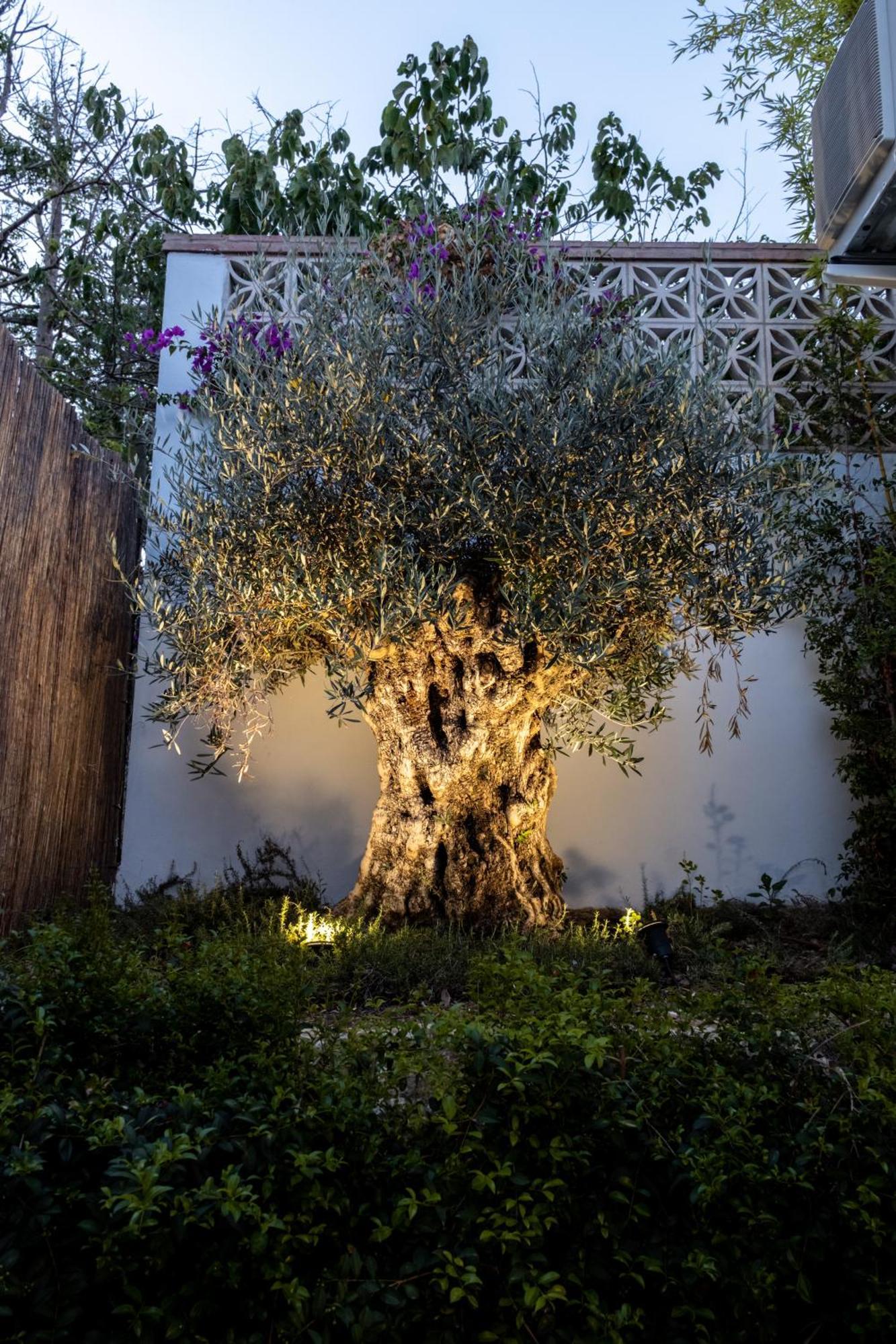 Casa Bodhi Boutique Hotel & Spa Marbella Bagian luar foto